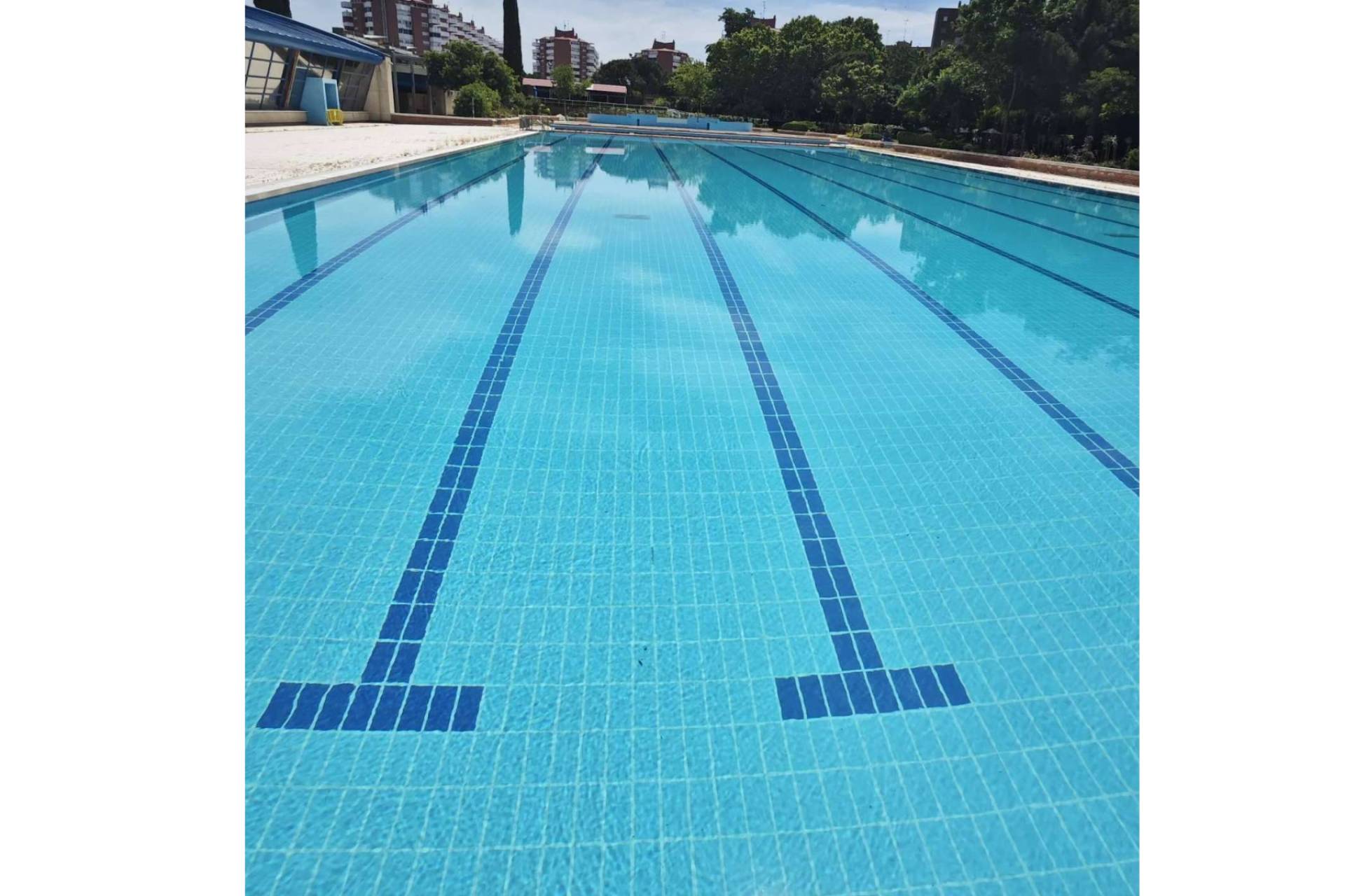 Sin cloraminas ni aditivos; POOL TIGER EUROPE y su modelo de purificación natural para piscinas