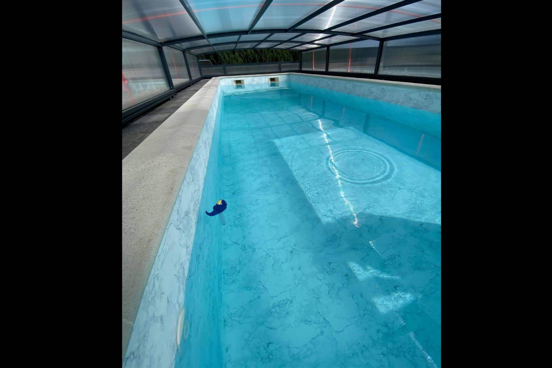 Pool Tiger Europe apuesta por la cavitación hidrodinámica como purificador natural de piscinas en Europa