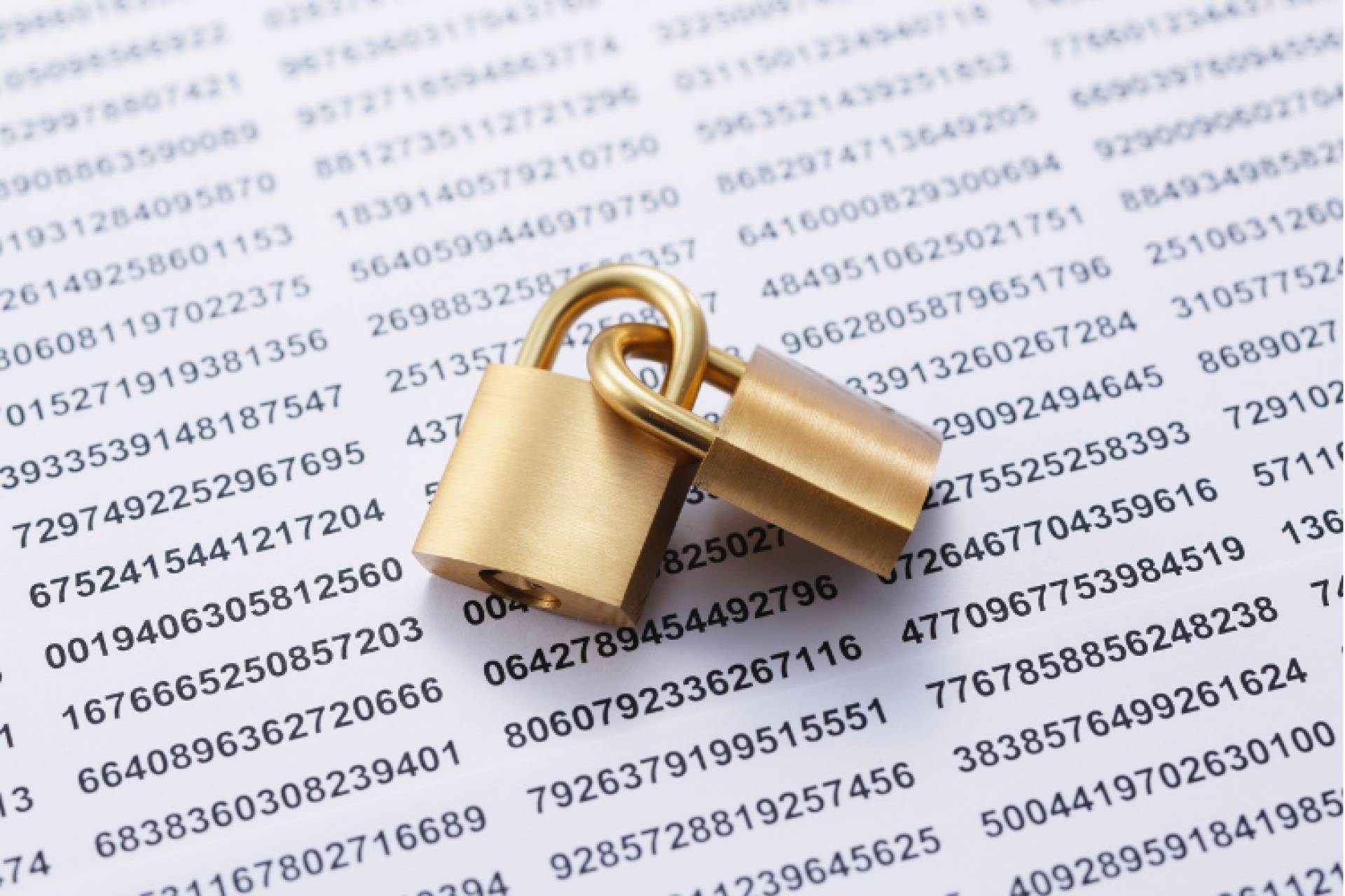 Servicios de ciberseguridad a medida, la apuesta estratégica de INTK Business Security