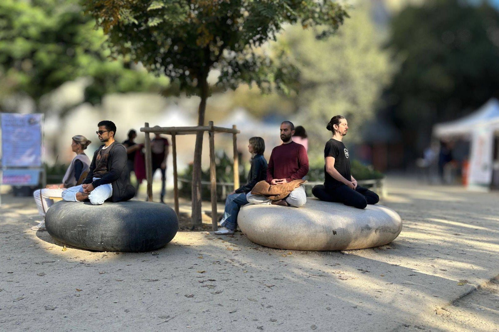 Meditación en Barcelona, sesiones presenciales y online con guía directa de un maestro zen