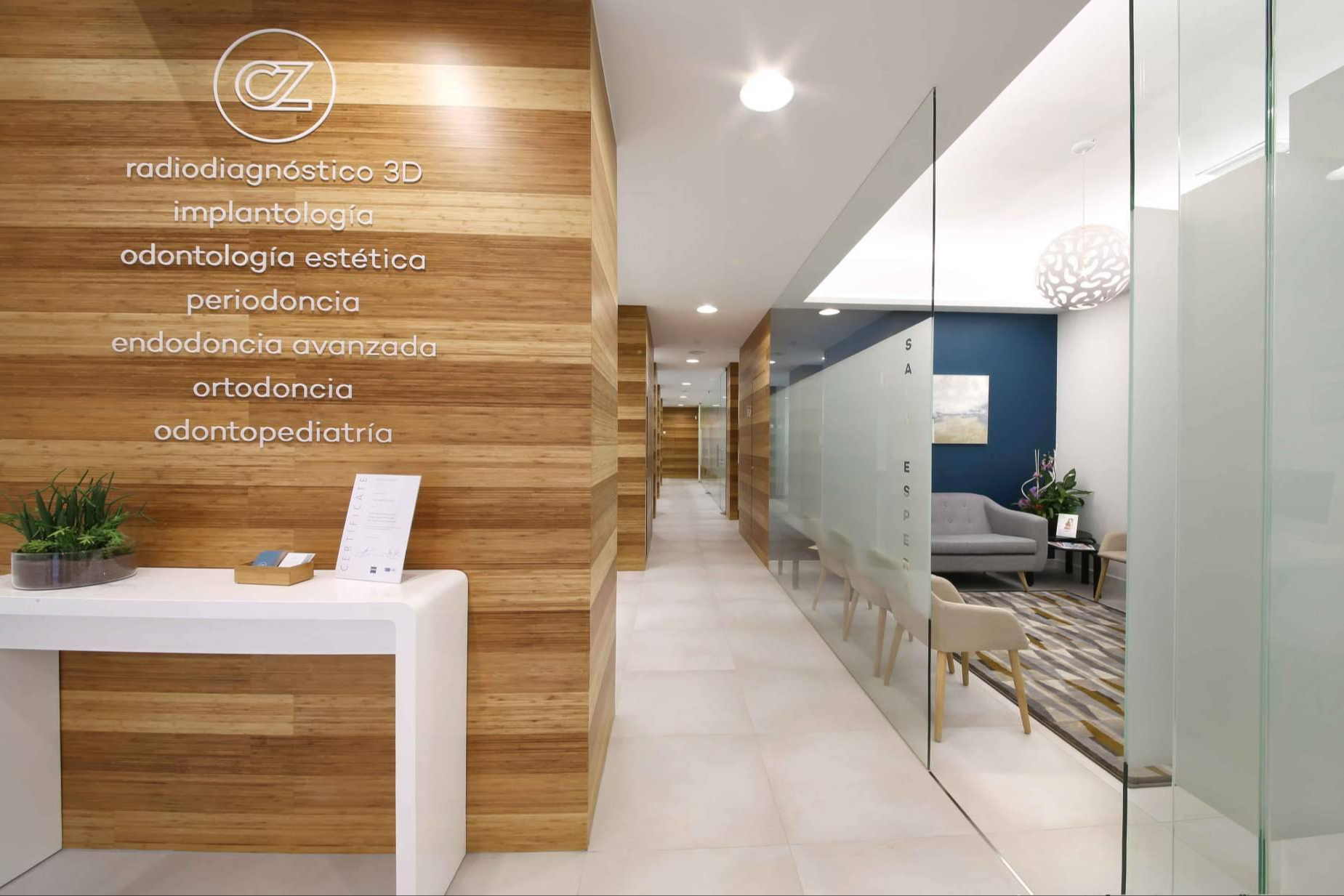 Clínica Dental Zoe destaca en Zaragoza por su endodoncia con microscopio y un enfoque clínico de alta calidad