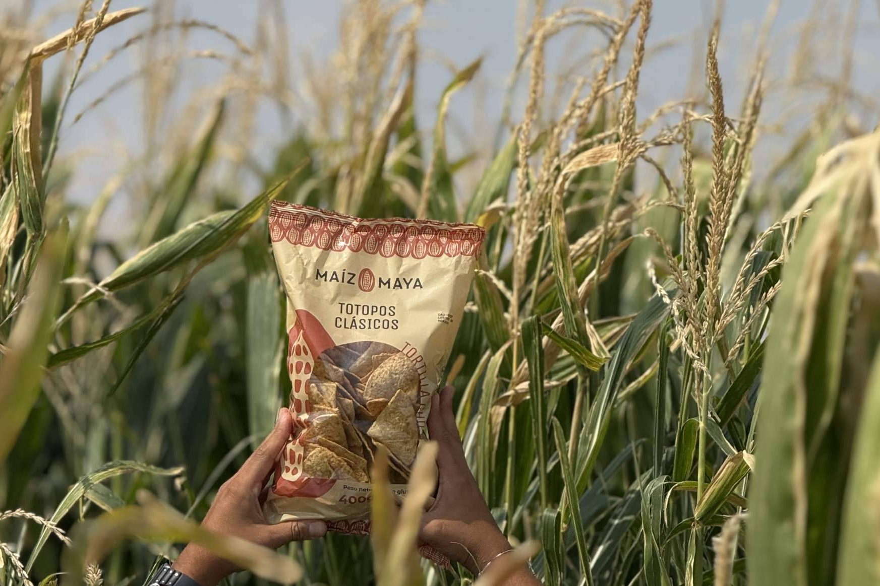 Maíz Maya acerca el sabor original con tortillas mexicanas en España elaboradas mediante nixtamalización