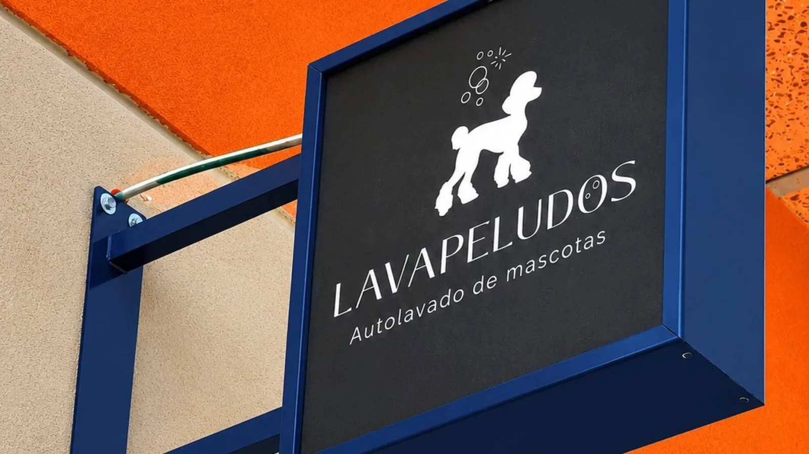 Adiós a bañar al perro en casa; Lavapeludos ofrece la alternativa que ya conquista a cientos de familias